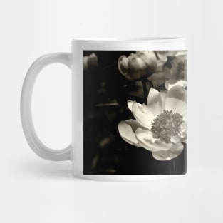 Peony On Display Mug